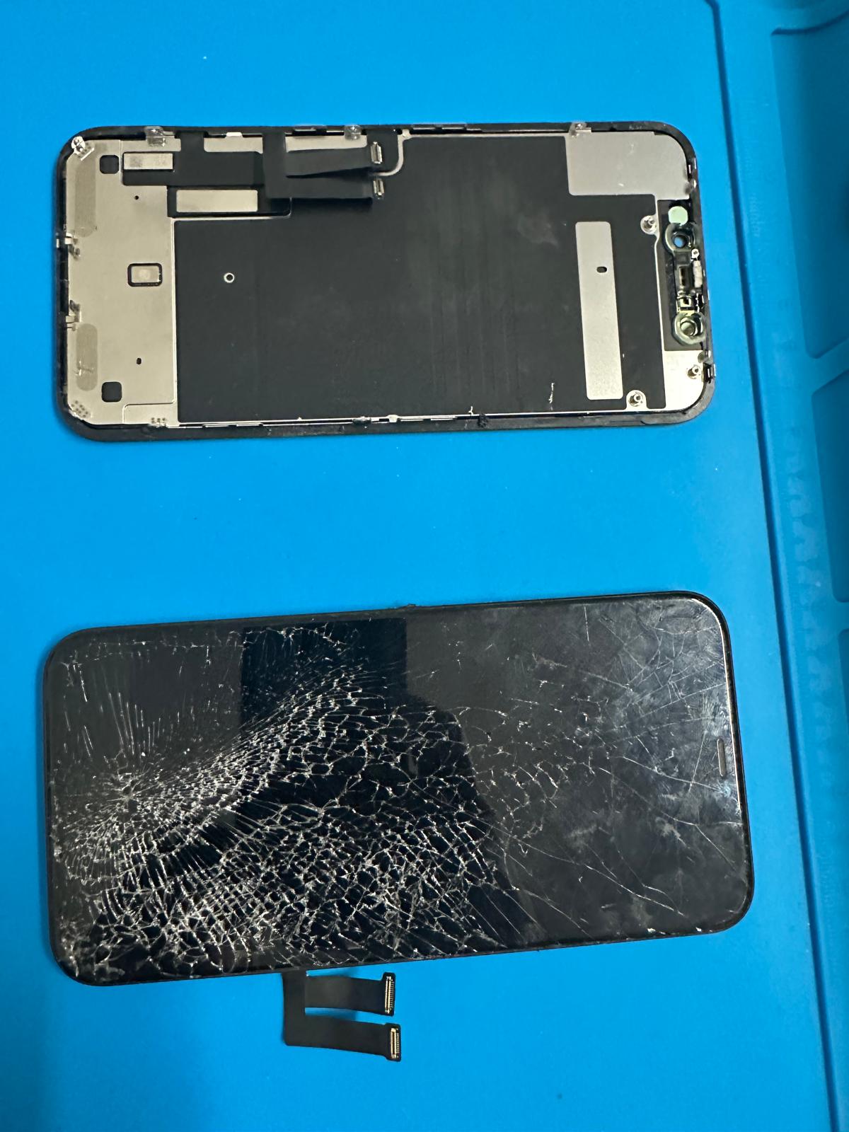 whatsapp image 2026 02 07 at 15.09.08 (3)